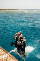 Daily Diving Trips 